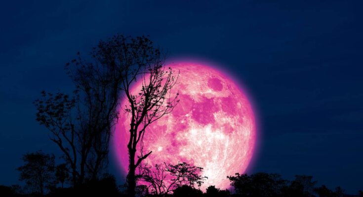 superluna rosa