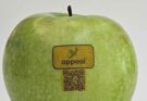 Bollini edibili per frutta: l’innovazione italiana che trasforma gli scarti di mela in etichette mangiabili