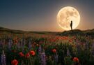 Stasera la Luna dei Fiori illumina il cielo: appuntamento imperdibile