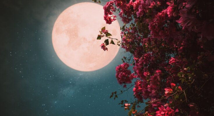 luna dei fiori primo maggio 2026
