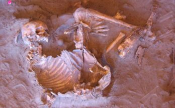 mummie di 7000 anni