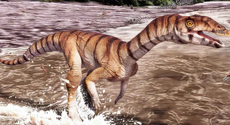Labrujasuchus expectatus