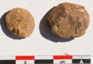 Tuberi di cinque secoli fa scoperti in Perù: il segreto andino
