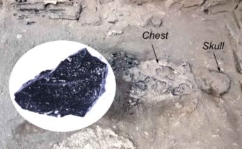 cervello di vetro a Pompei