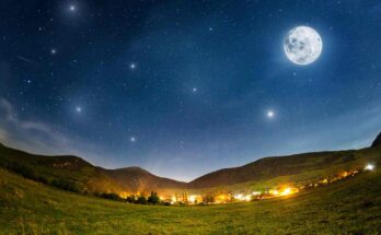 luna piena fragole