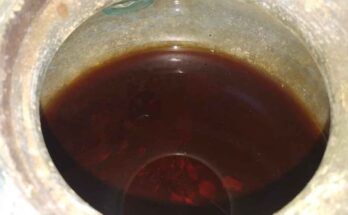 vino piu antico al mondo