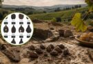 Semi antichi svelano il Chianti di duemila anni fa: era bianco