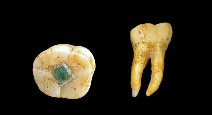 Dente Maya