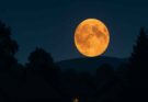 Fine luglio 2026: Luna del Cervo e sciami meteorici da non perdere