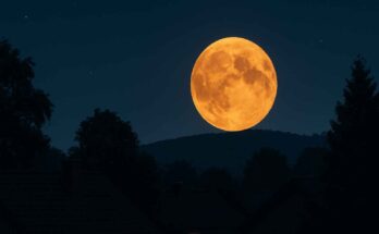 Luna piena del Cervo