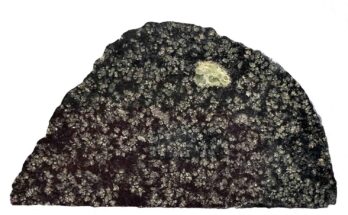 NWA 12774 meteorite