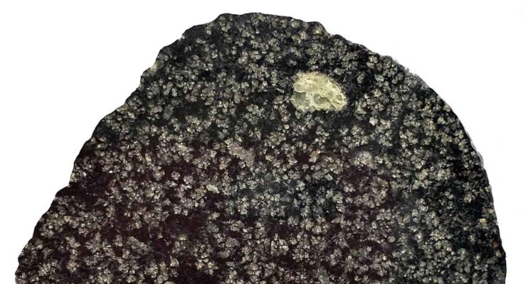 NWA 12774 meteorite