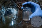 Batteri contro l’uranio: -96% nell’acqua di una miniera tedesca