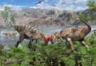 Gobi: trovato dinosauro con cranio a cupola vecchio 108 milioni di anni