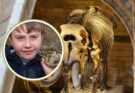 Bambino scopre un dente preistorico di elefante in spiaggia