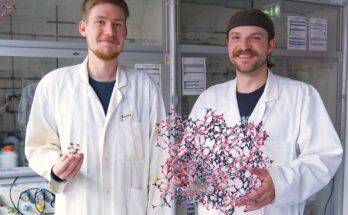 Spugna crea acqua dall'aria