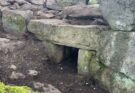 Sardegna, spunta tra i rovi un’antica tomba dei giganti nuragica