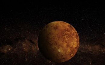 bacio luna venere
