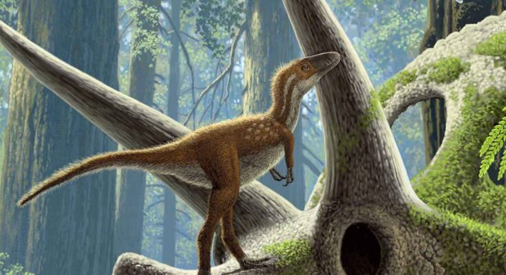 cucciolo di T. Rex