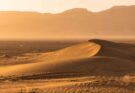 Neanderthal nel deserto arabo? Lo svelano 24 pietre scheggiate