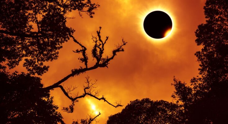 eclissi solare