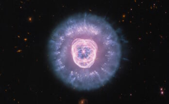 nebulosa leone immagini telescopio webb