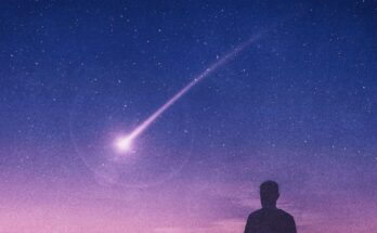 perseidi stelle cadenti agosto 2026
