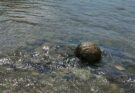 Danubio in secca: riaffiora sfera di pietra vecchia di 2.000 anni
