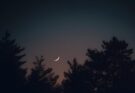 Spettacolo nel cielo: Luna, Mercurio e Giove insieme all’alba