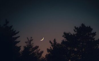 tris celeste luna mercurio giove