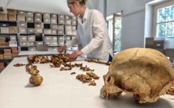 Collezione Statale di Antropologia di Monaco (SAM)