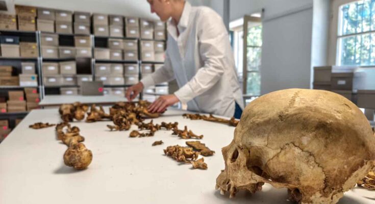 Collezione Statale di Antropologia di Monaco (SAM)