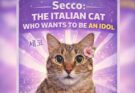 Secco, il gatto italiano diventato idol della cultura pop coreana