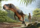 Piume fossili nascoste nelle feci di un dinosauro del Cretaceo