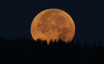 luna piena raccolto