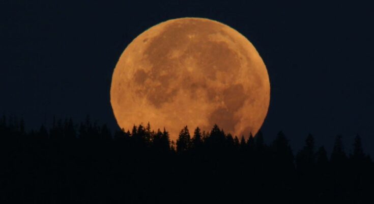luna piena raccolto