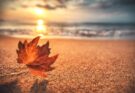 Equinozio d’autunno: perché la data cambia ogni anno