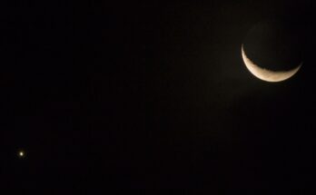 occultazione venere luna