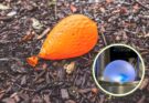Palloncini eco-compatibili: il bio-lattice che sparisce in 9 mesi