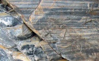 roccia più antica al mondo Dr. Chaudhuri