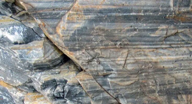 roccia più antica al mondo Dr. Chaudhuri