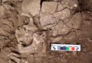 Denti di 25.000 anni fa svelano l’antico uso di droghe vegetali