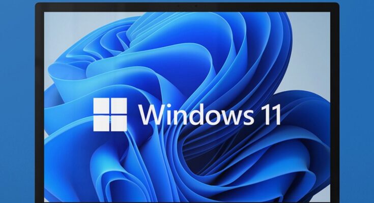 windows11