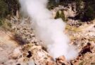 Ameba resiste a 63°C: nuovo record termico tra gli eucarioti