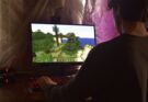 Dodicenne italiano crea megalopoli di Minecraft con 500mila blocchi