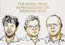 Nobel Medicina 2026: trionfo dell’optogenetica e dei neuroni controllati dalla luce