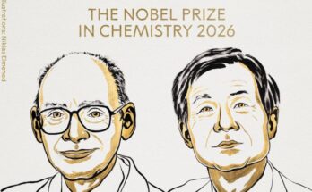 Nobel chimica
