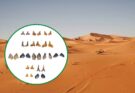 Egitto, denti fossili svelano un antico mare di squali nel Sahara