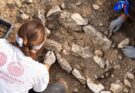 Siponto, scoperti resti di 7-8 neonati sotto chiesa medievale