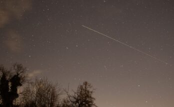 stelle cadenti